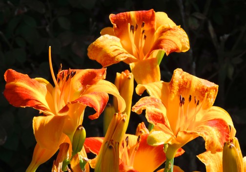 DSCN1145 - Version 2