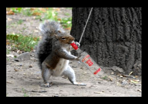 Screen Shot 2014-01-13 at 1.12.03 PM