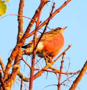 DSCN3534 - Version 2