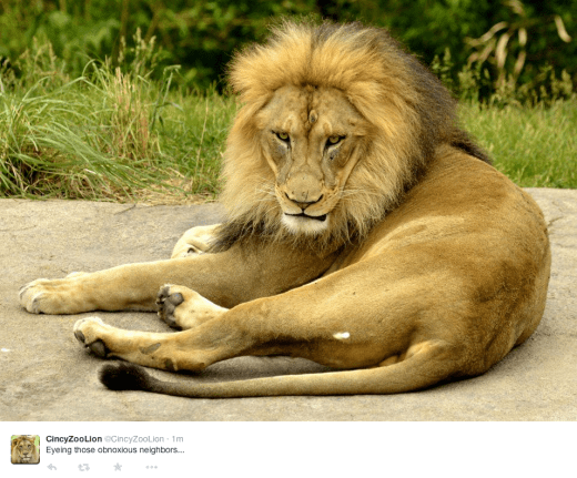 Screen Shot 2015-07-07 at 9.27.13 AM