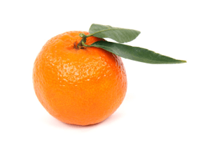 Screen Shot 2016-04-06 at 9.10.57 AM